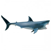 Load image into Gallery viewer, 4D Vision Shark Model - Classroom Set