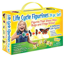 Load image into Gallery viewer, Life Cycle Figurines Set