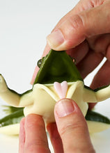 Load image into Gallery viewer, Kind Frog™