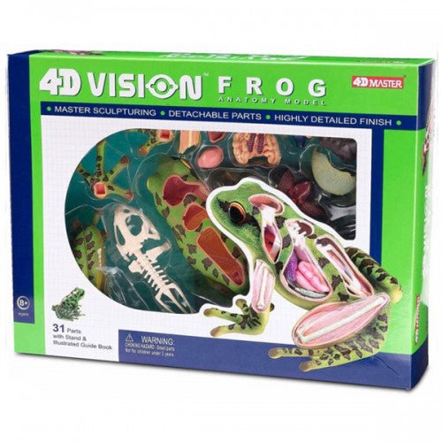 4D Vision Frog Model
