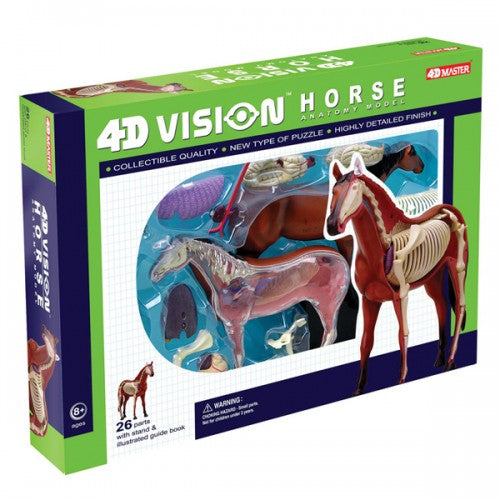 4D Vision Horse Model