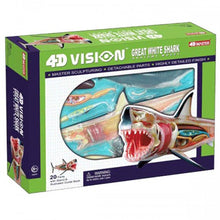Load image into Gallery viewer, 4D Vision Shark Model
