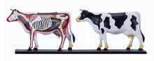 Load image into Gallery viewer, 4D Vision Cow Model