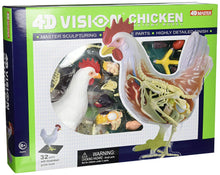 Load image into Gallery viewer, 4D Vision Chicken Model
