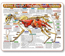 Load image into Gallery viewer, Feline Design Cat&#39;s Body Systems Chart
