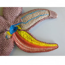 Load image into Gallery viewer, Bobbitt Starfish Model
