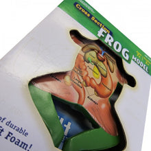 Load image into Gallery viewer, Cross Section Frog Model