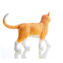 Load image into Gallery viewer, 4D Vision Cat Model

