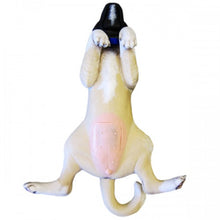 Load image into Gallery viewer, Dog Spaying Mannikin