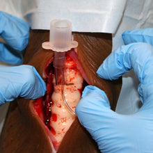 Load image into Gallery viewer, Louie K-9 Tracheostomy Manikin