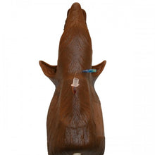 Load image into Gallery viewer, Louie K-9 Tracheostomy Manikin
