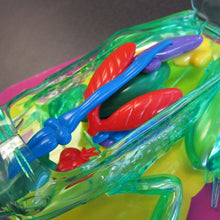 Load image into Gallery viewer, See Through Frog Model