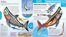 Load image into Gallery viewer, Uncover A Shark Book