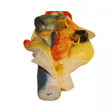 Load image into Gallery viewer, Pregnant Shark Model