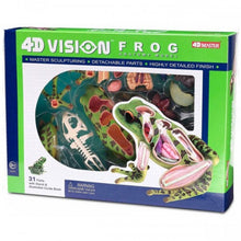 Load image into Gallery viewer, 4D Vision Frog Model - Classroom Set
