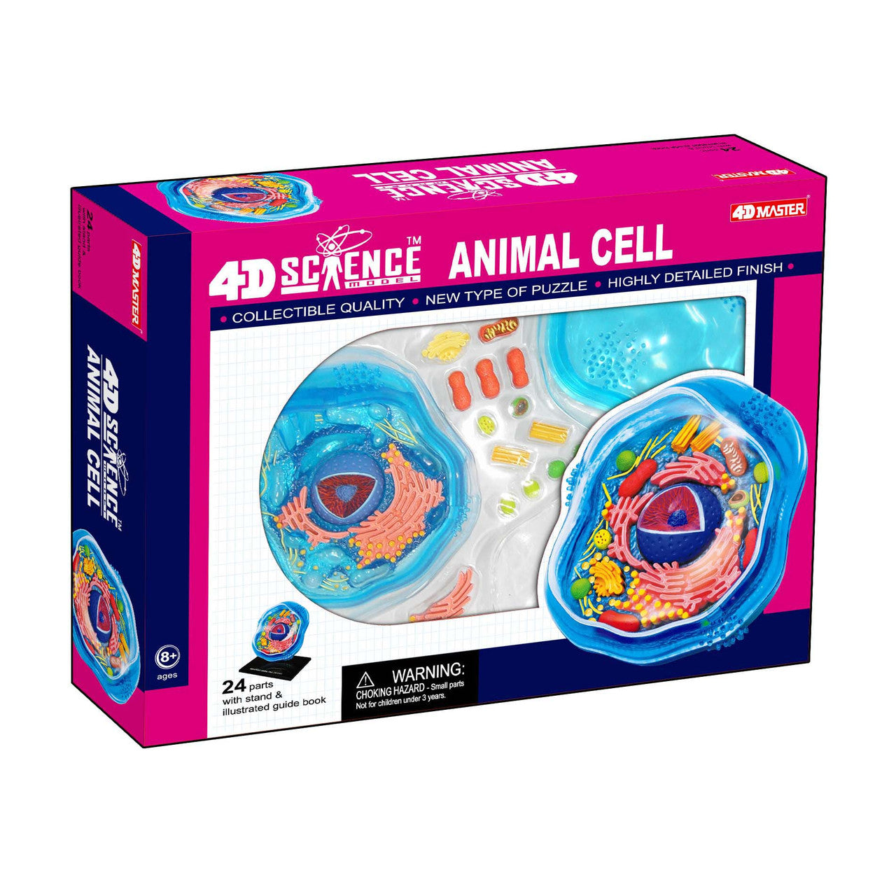 4D Vision Animal Cell Model – The Science Bank