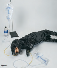 Load image into Gallery viewer, Advanced Sanitary CPR Dog
