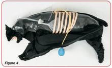 Load image into Gallery viewer, Basic Sanitary CPR Dog
