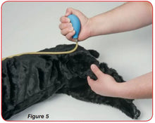 Load image into Gallery viewer, Basic Sanitary CPR Dog
