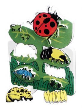 Life Cycle of a Ladybug Figurine - Safariology® Educational
