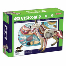 Load image into Gallery viewer, 4D Vision Dog Model
