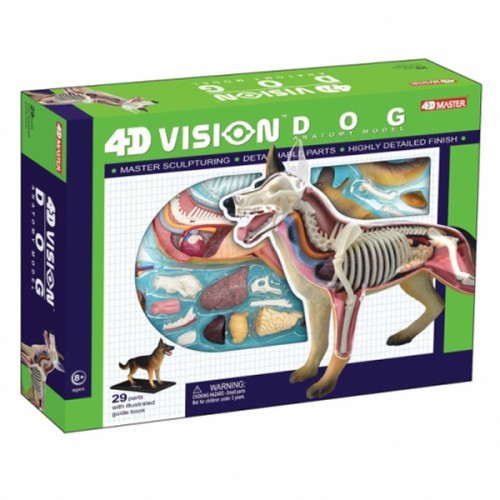 4D Vision Dog Model - Main Image