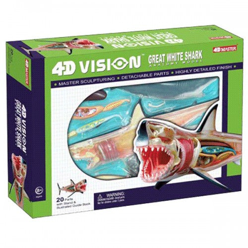 4D Vision Shark Model – The Science Bank