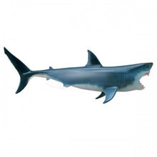 Load image into Gallery viewer, 4D Vision Shark Model
