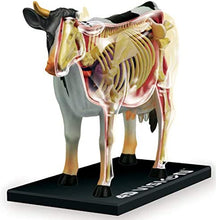 Load image into Gallery viewer, 4D Vision Cow Model
