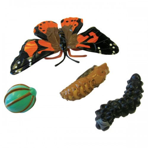 Butterfly Life Cycle Stages Set