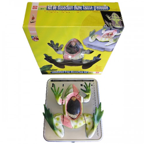Frog Dissection Kit
