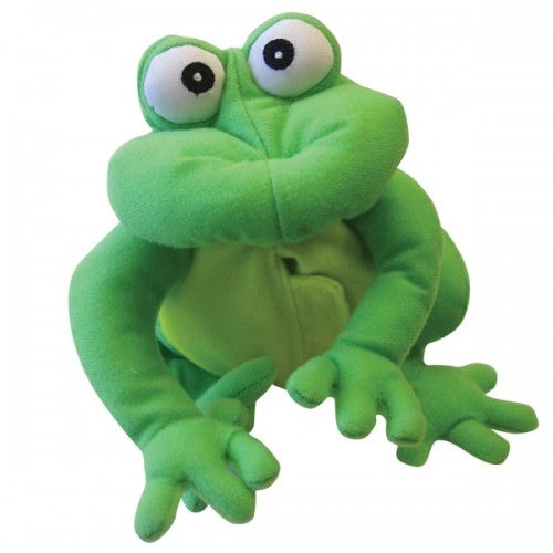 Frog Life Cycle Puppet