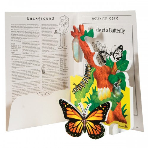 Book Plus: Lifecycle of a Butterfly