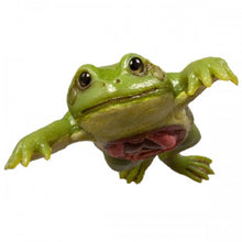 Load image into Gallery viewer, Frog Model
