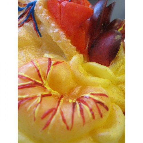 Realistic Rat Model – The Science Bank