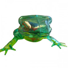 Load image into Gallery viewer, See Through Frog Model
