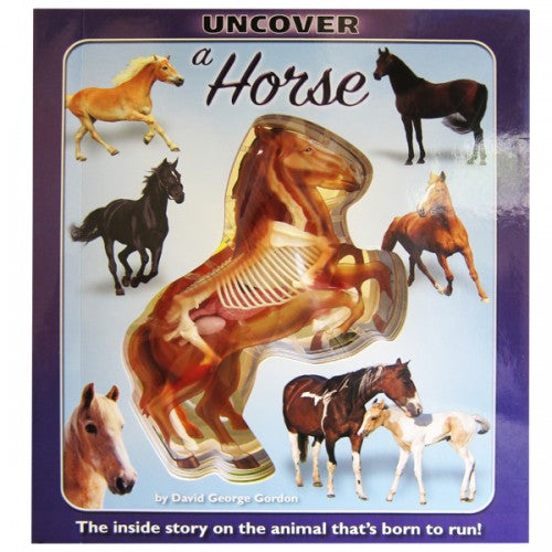 Uncover a Horse Book
