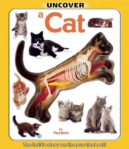 Uncover a Cat Book