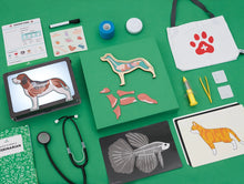 Load image into Gallery viewer, Veterinarian Starter Kit
